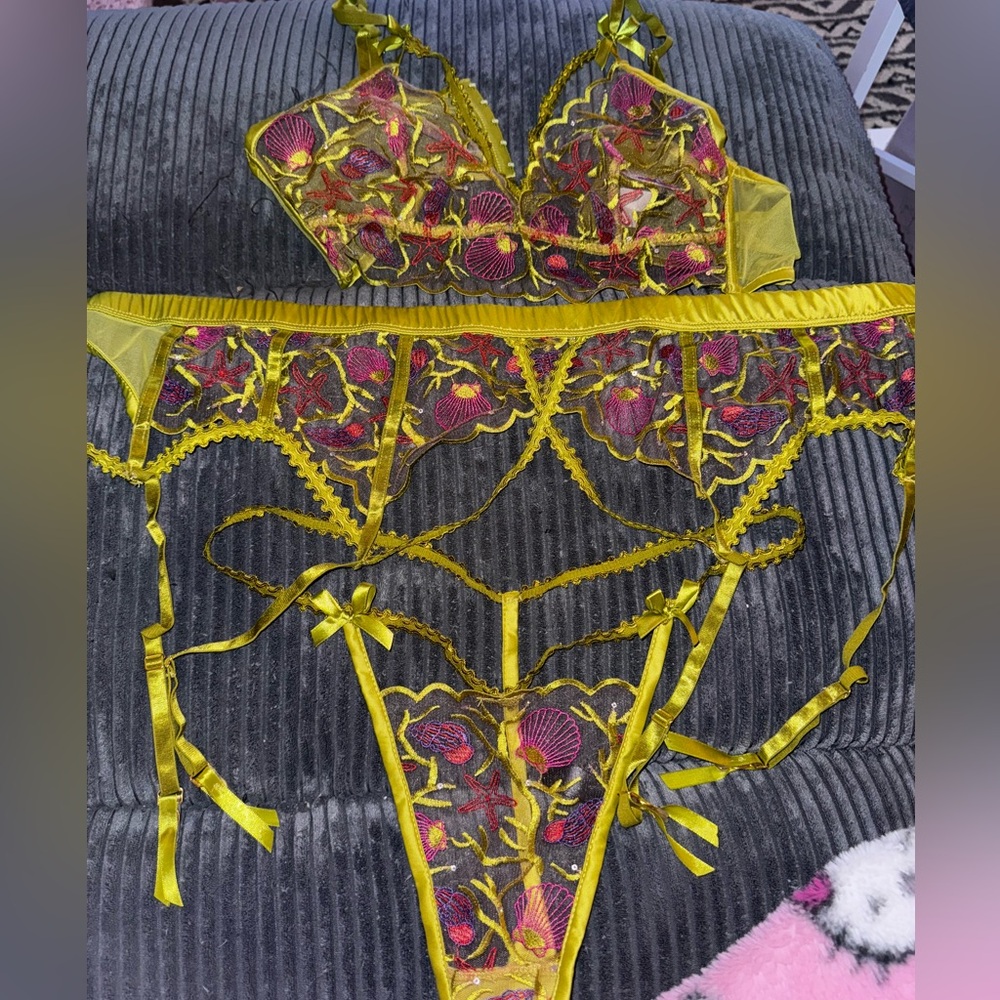 Sequin Shell Embroidery 3PC lingerie set never worn